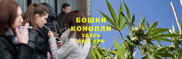 гидра Корсаков