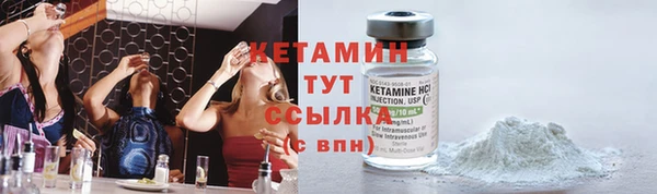 гидра Корсаков