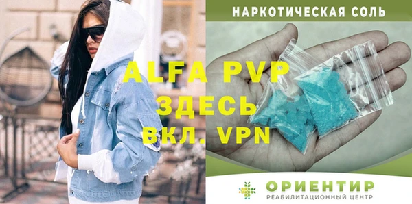 гидра Корсаков