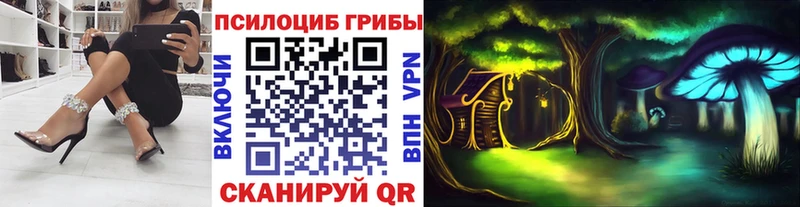 Псилоцибиновые грибы MAGIC MUSHROOMS  кракен   Назрань 