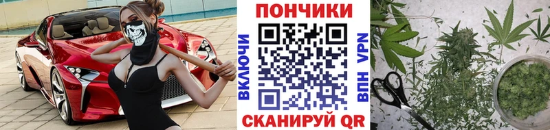 Каннабис индика  мега вход  Назрань  купить наркотики цена 